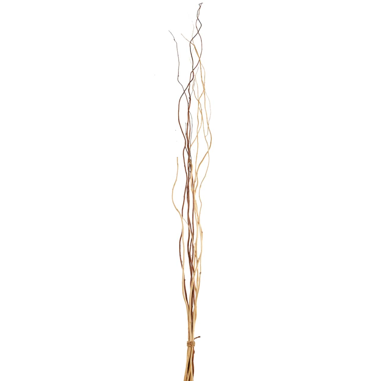 6 Pack: Mixed Natural Willow Bundle by Ashland®